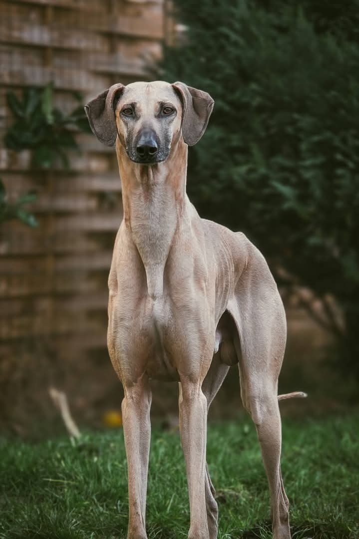 FB_IMG_1768828150176