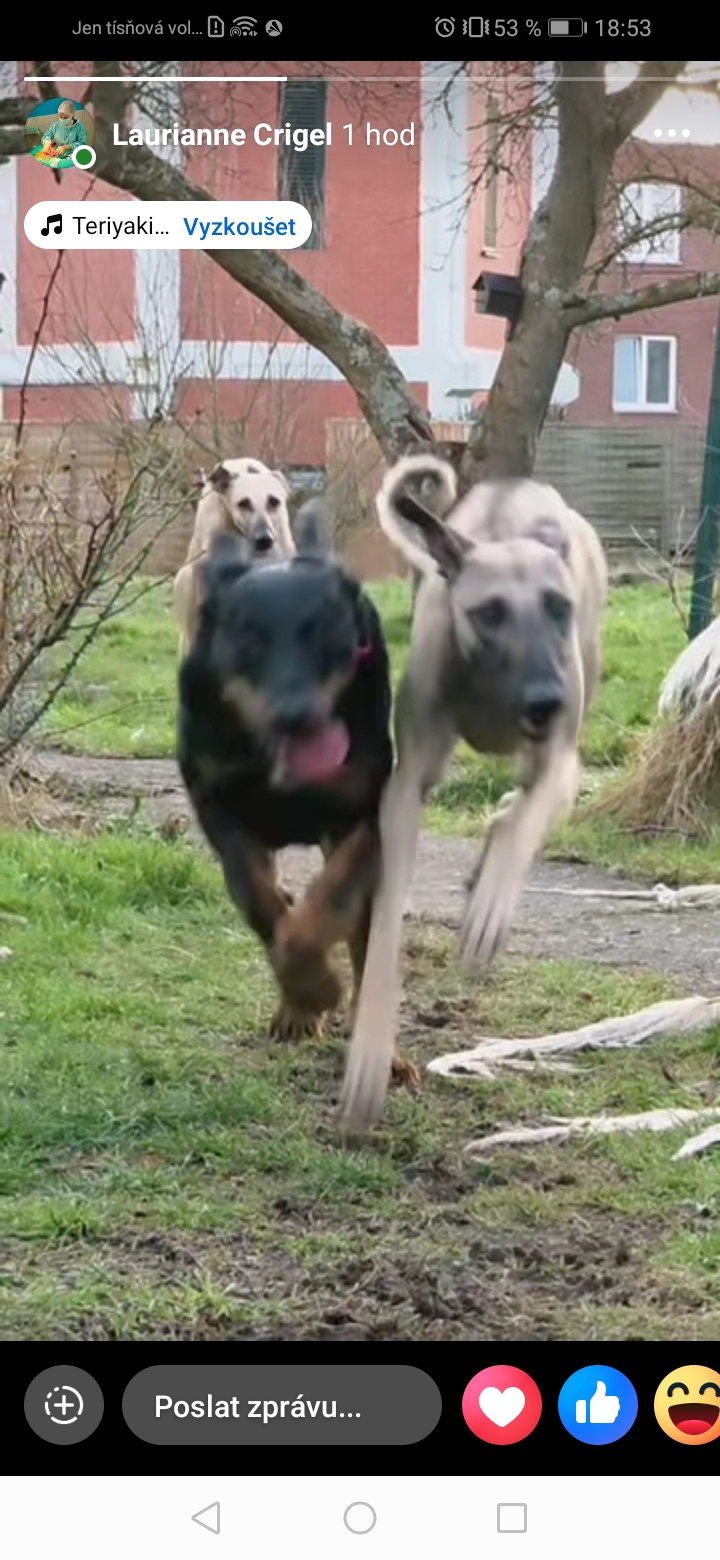 Screenshot_20260121_185352_com.facebook.katana