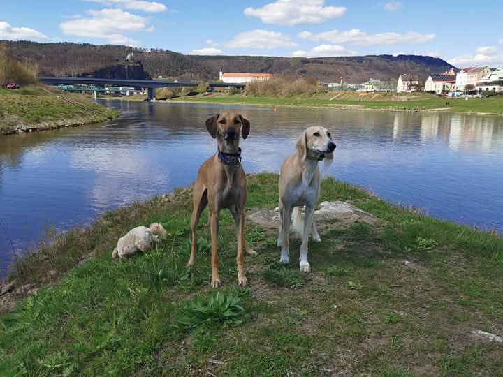 FB_IMG_1770291345251