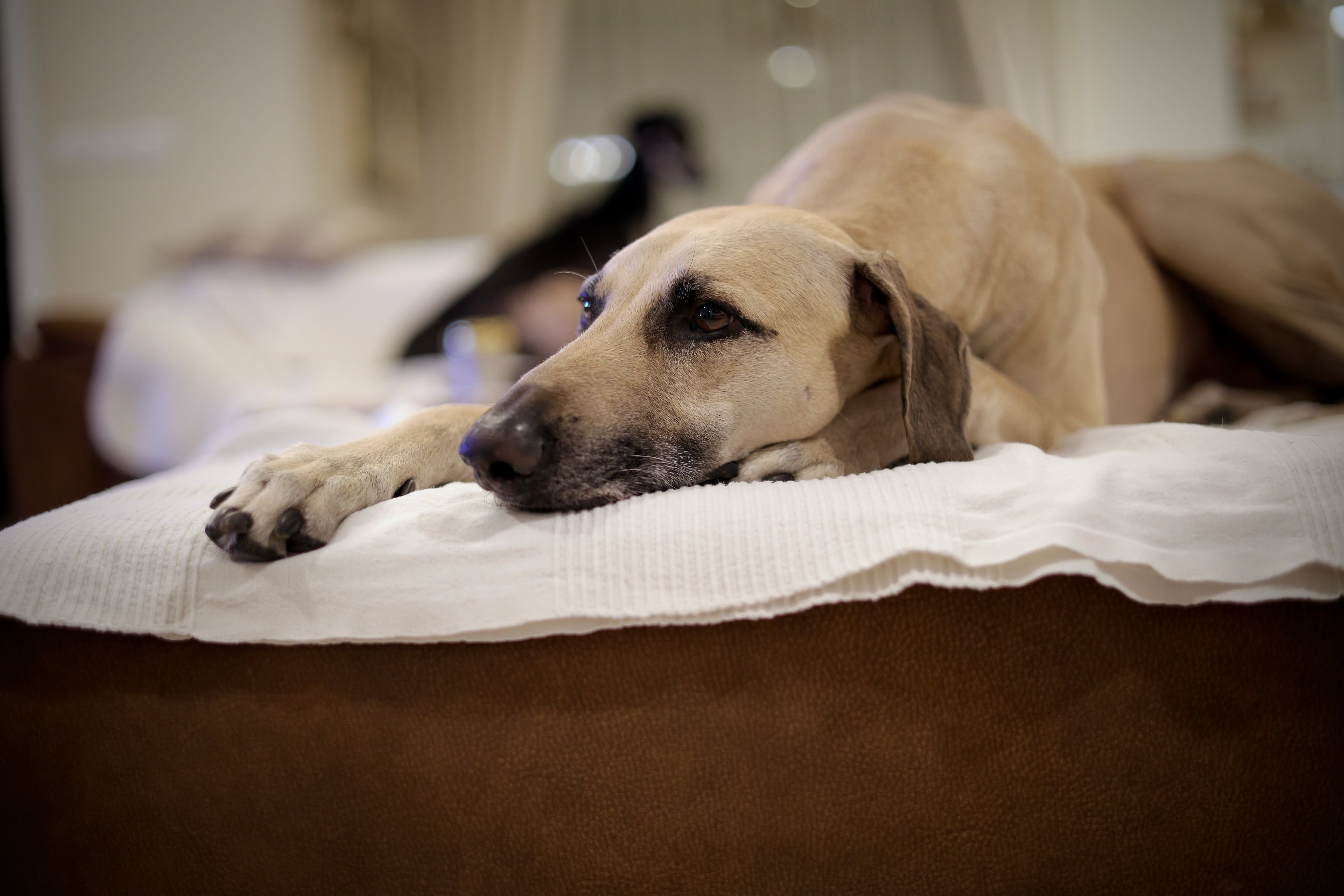 received_1918413542382591