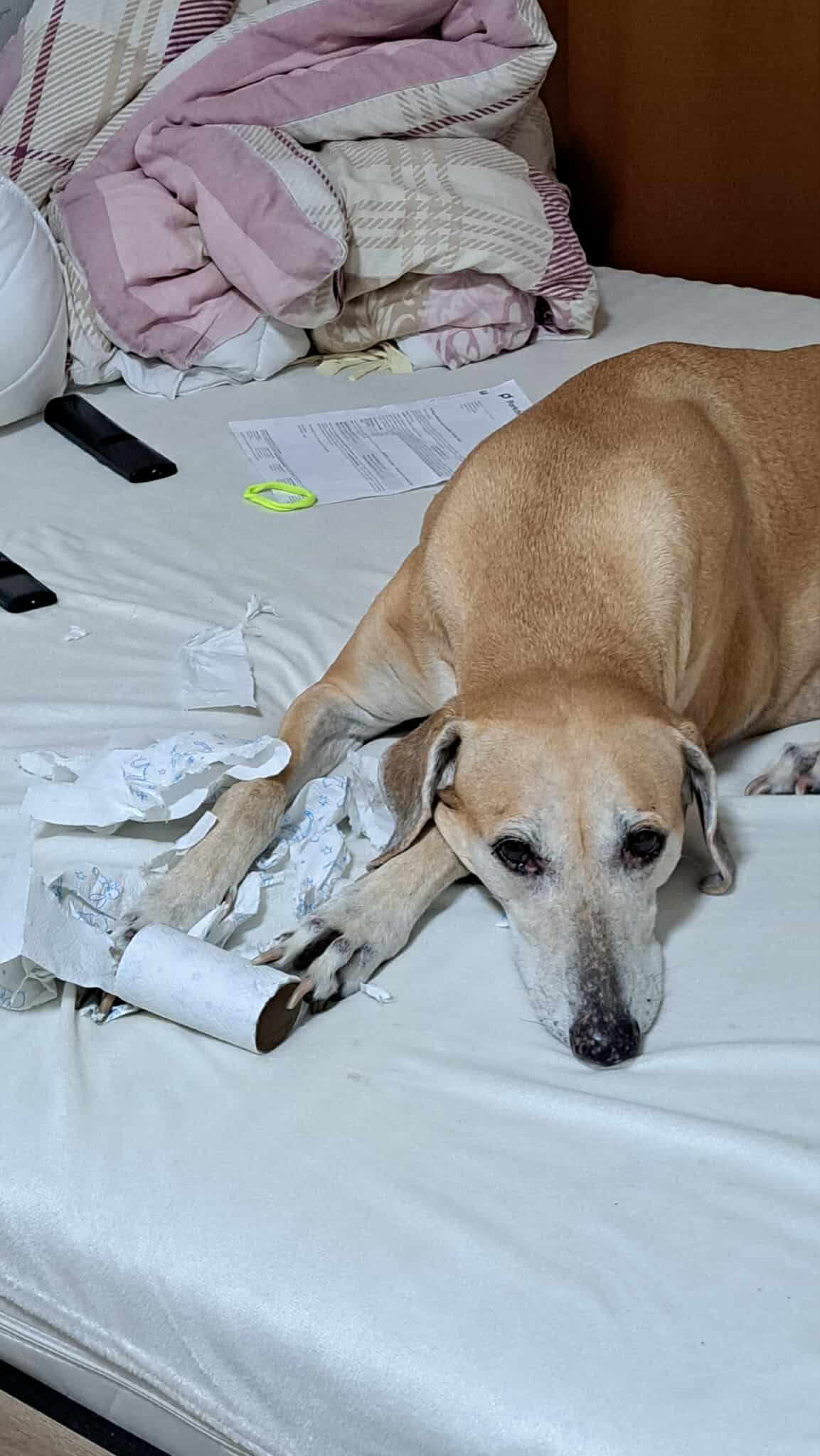 received_1170563295187598