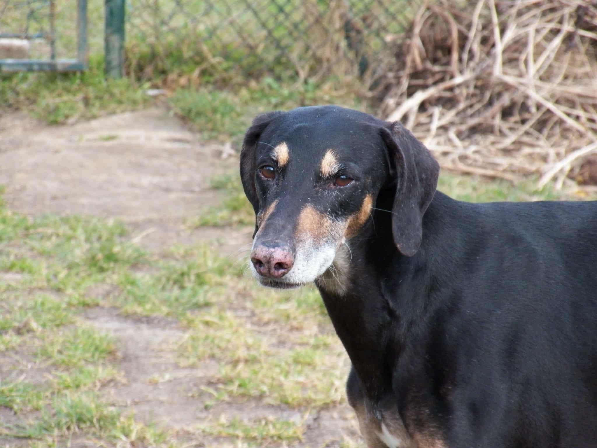 Messenger_creation_02FC5D35-546C-421F-9388-EB00B12D605D