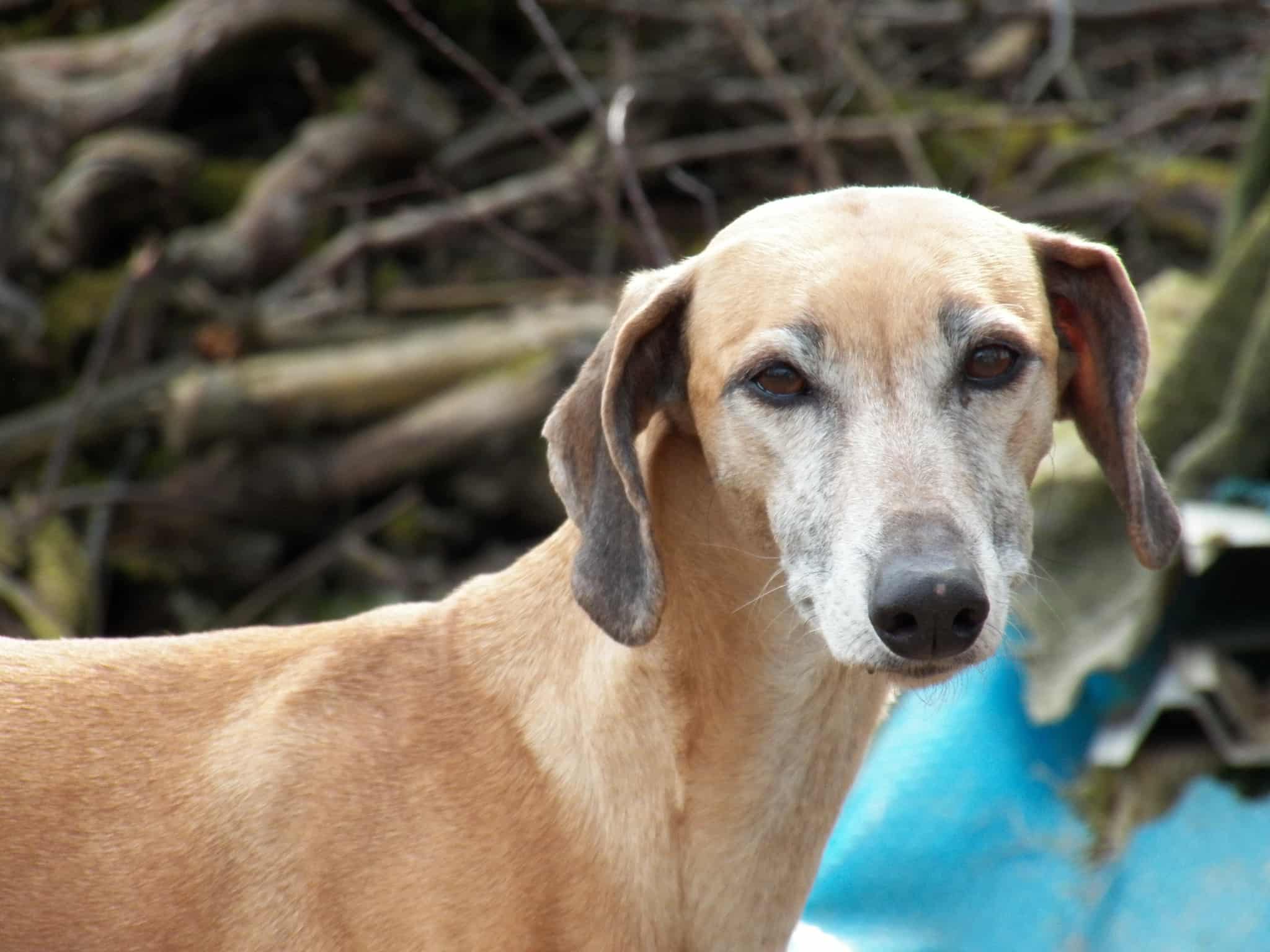 Messenger_creation_9772D683-2856-44DA-B32C-B7C038EEEA40