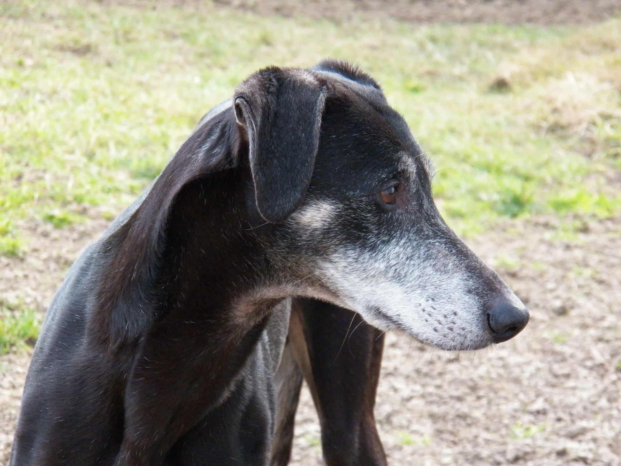 Messenger_creation_EDF9873C-6A2A-4A34-81B4-B602F4B41BE1