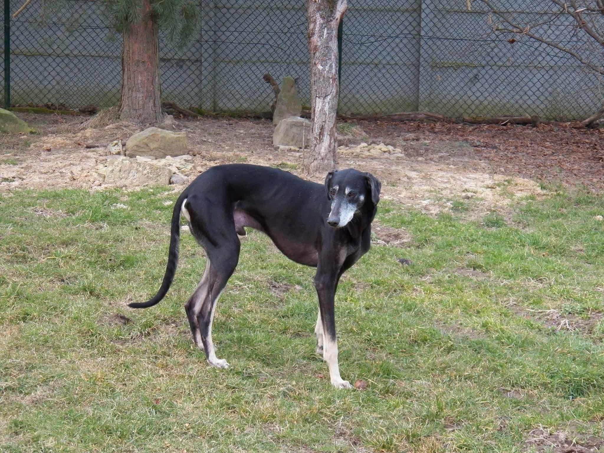 Messenger_creation_7C426649-ED2B-4AC5-9D71-2885DCE0722F