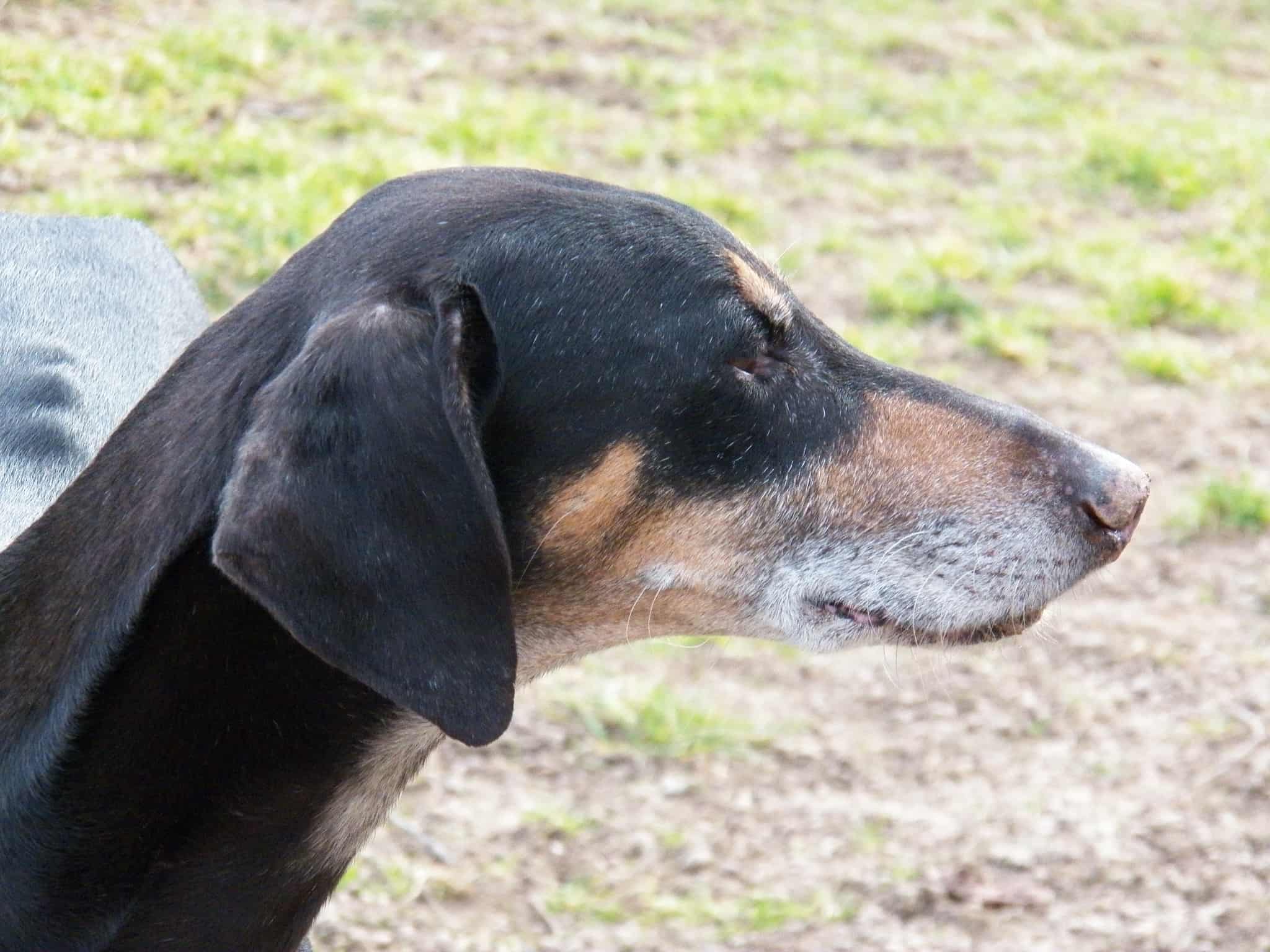 Messenger_creation_3FDA1ADA-0529-47A3-813F-2656AB824372