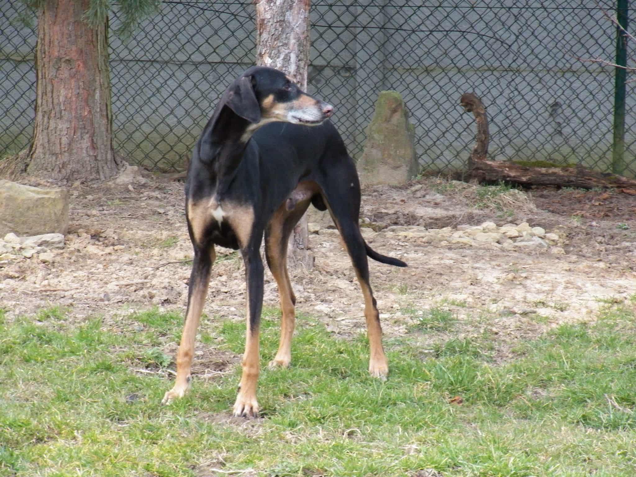 Messenger_creation_6C56D175-E5CF-492E-88FF-ADEF5380BA17