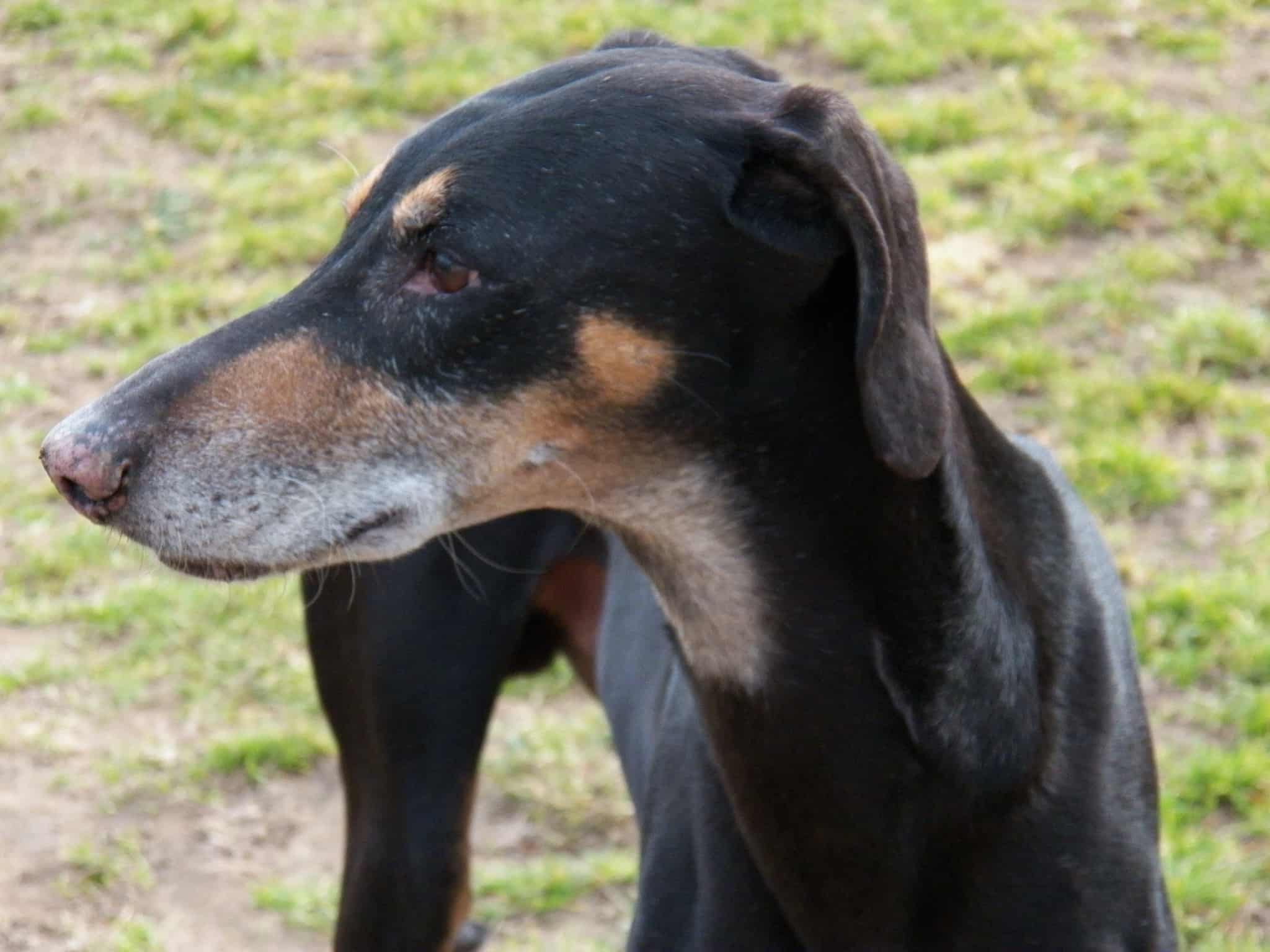 Messenger_creation_27C2E51E-DE5D-4B9E-ADFB-5E148DE47E65