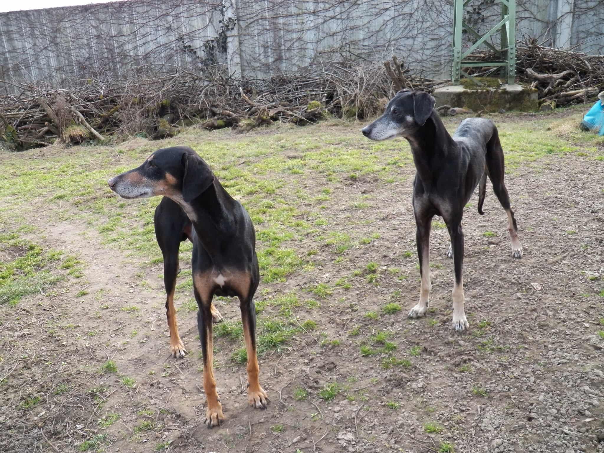 Messenger_creation_C78A7A01-8B64-4327-8A2C-6C90C050243D