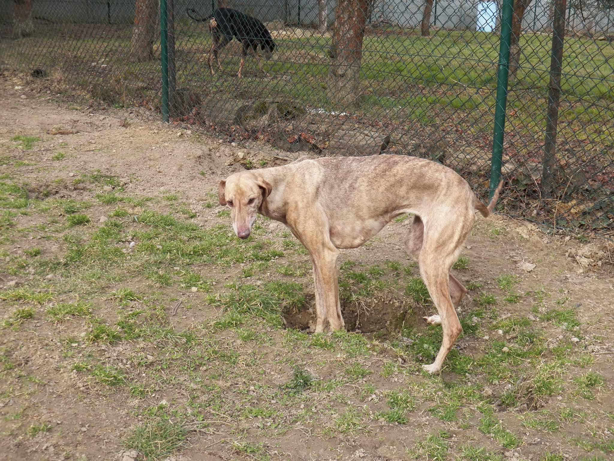 Messenger_creation_12B335D4-E8DC-4EFD-9981-8E23DD487A21