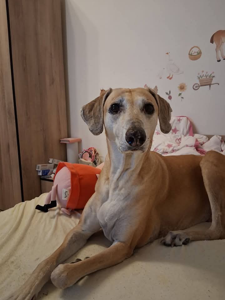 FB_IMG_1772636113546