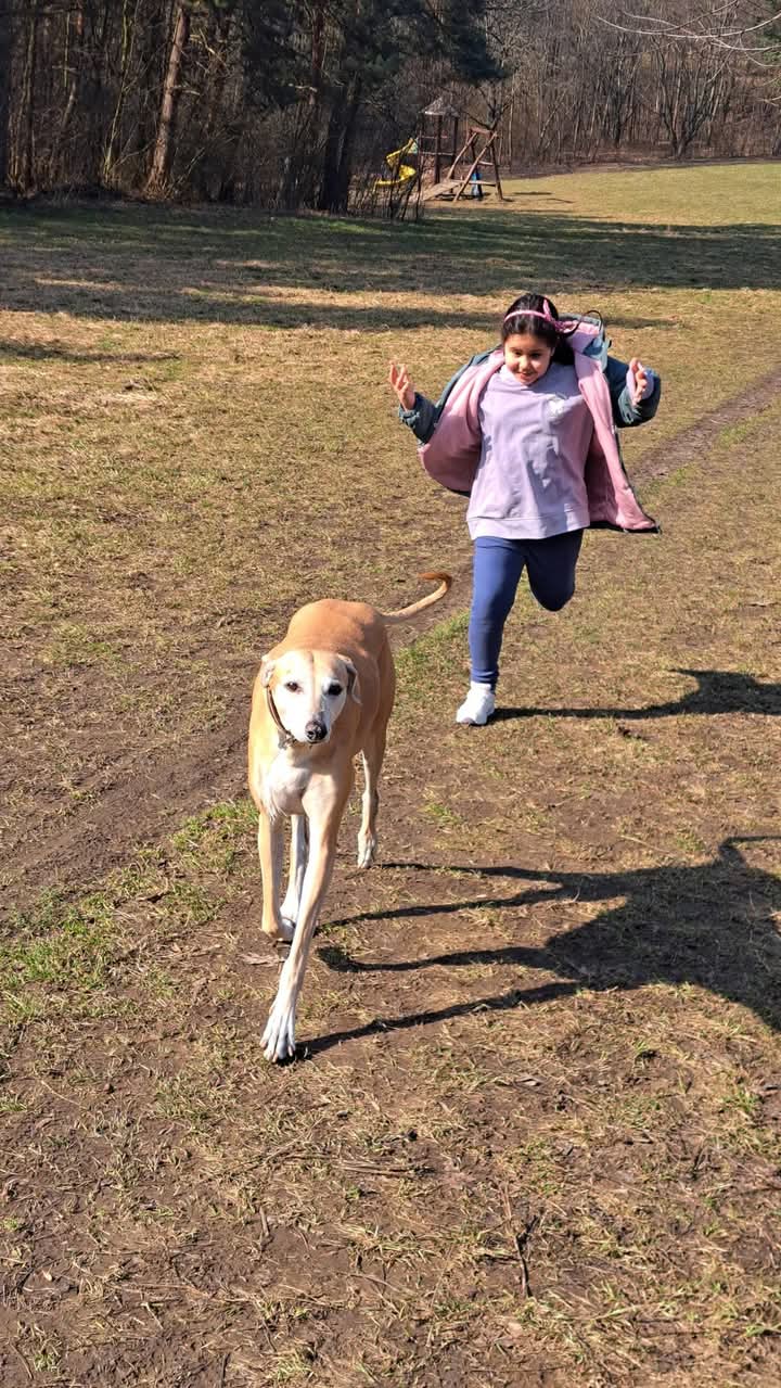 FB_IMG_1772910301589