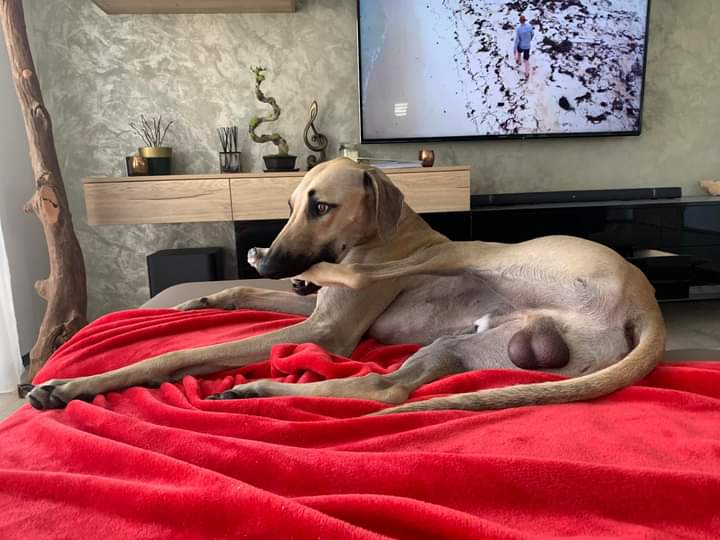 FB_IMG_1709740478158