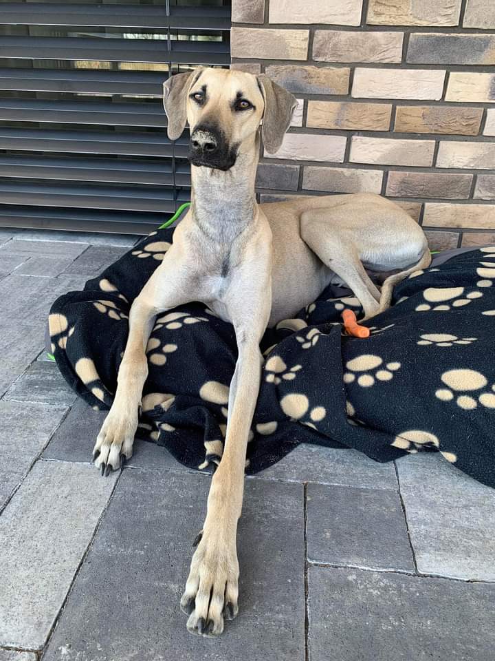 FB_IMG_1709740491942