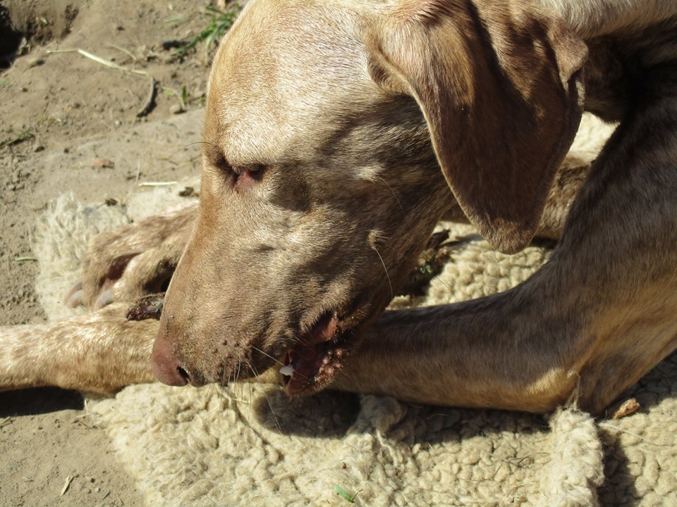 61461695_2406045366083131_3960970074759626752_n