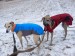 FB_IMG_1742217365556