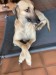 FB_IMG_1743267771844
