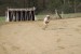 FB_IMG_1743502660320