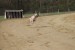 FB_IMG_1743502662657