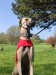 FB_IMG_1744033795189