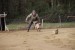 FB_IMG_1743502652895