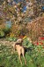 FB_IMG_1743958233427