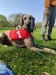 FB_IMG_1744033797752