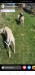 Screenshot_20250328_213814_com.facebook.katana