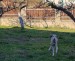 FB_IMG_1744883295021