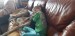 received_1131986732277203