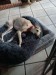 FB_IMG_1744804324614