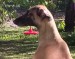 IMG_20250427_085453