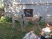 Messenger_creation_0CAA7675-3040-40A8-A269-D4B234EF9D61