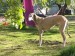 Messenger_creation_A2C0E3D8-65F0-45AC-AAC9-043CAD51B56B