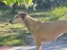 Messenger_creation_2A53BEEA-F091-487B-9E06-43B3F53B5A55