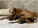 FB_IMG_1746281558538