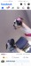 Screenshot_20250502_071046_com.facebook.katana