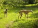 Messenger_creation_A385437A-5187-4439-BA40-E35A54E0F920