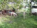 Messenger_creation_E91D03AB-D3F9-49D3-B243-9A7565530E1E