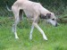 Messenger_creation_5996DF86-F7FE-49BD-9AAA-4680FC6ECC4D