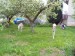 Messenger_creation_EDB07172-0F1F-43BA-BA54-F148D390EDE0