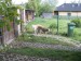 Messenger_creation_EE27353A-5613-4840-BB41-A6FCE2B01606