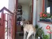 Messenger_creation_F9EA50D0-4CE4-4313-B7D5-58515198C6D5