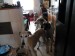 Messenger_creation_7641B714-A86E-4F87-A4CA-BB22C25BB95D