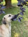 FB_IMG_1749276217110