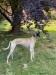 FB_IMG_1749276214510