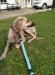 FB_IMG_1749058568272
