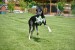 FB_IMG_1747160069138