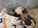 FB_IMG_1746991564653