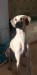 FB_IMG_1747931069394